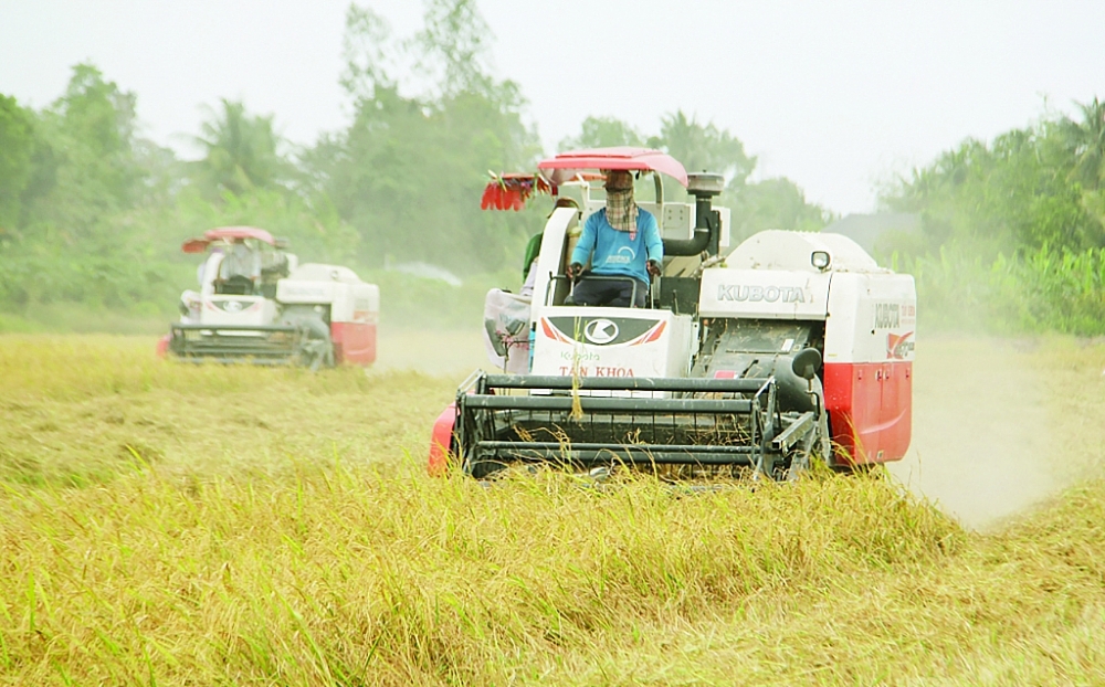 Un séminaire virtuel sur la coopération Vietnam - Algérie - Sénégal aura lieu en avril